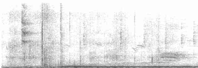 灰胸秧雞 - ML615775583