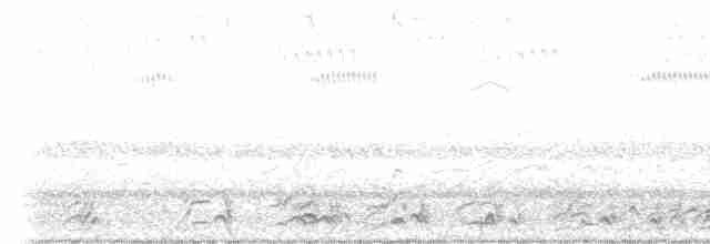 Сероголовая яху - ML615775763