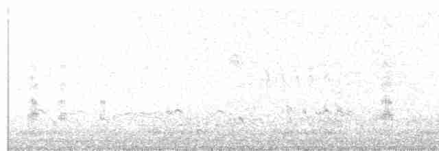 Black-tailed Godwit - ML615776669