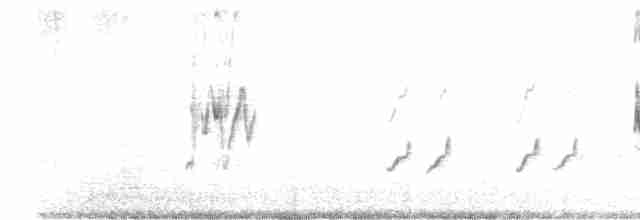 australlerke (javanica gr.) - ML615777301