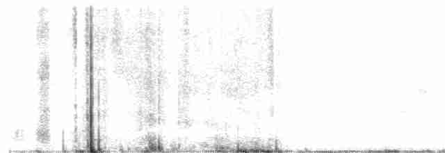 Gray-headed Bushshrike - ML615777322