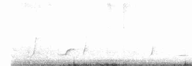 Black-tailed Whistler - ML615777554
