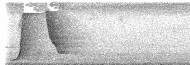 Батіжник чорночубий - ML615778253