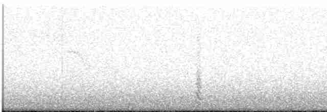 gråskrike (canadensis gr.) - ML615781005
