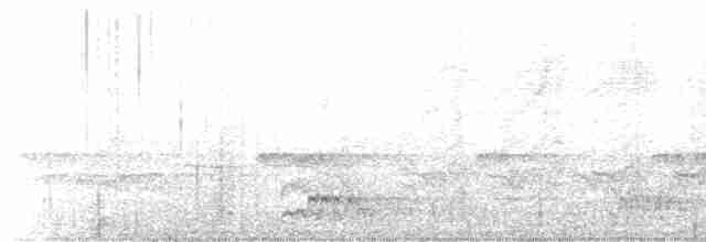 Weißbrustkleiber - ML615781054