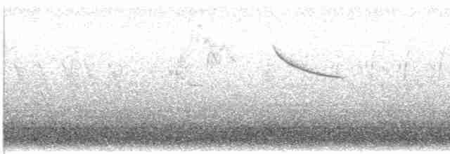 Eurasian Penduline-Tit - ML615781704