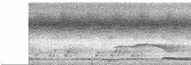 Кораловоклювая воронья кукушка - ML615782254