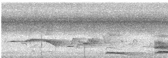 Кораловоклювая воронья кукушка - ML615782255