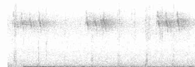 Gray Wagtail - ML615783584