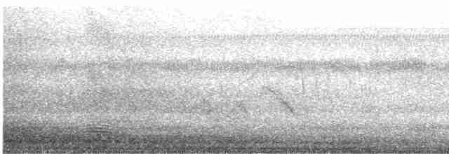 Ібіс білий - ML615785665