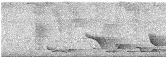 Kara Karınlı Çıtkuşu - ML615792511