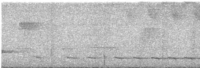 Белохвостый трогон - ML615792516