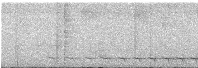 Белохвостый трогон - ML615792517