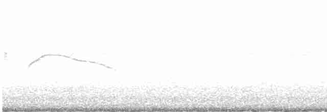 White-tailed Nightjar - ML615794443
