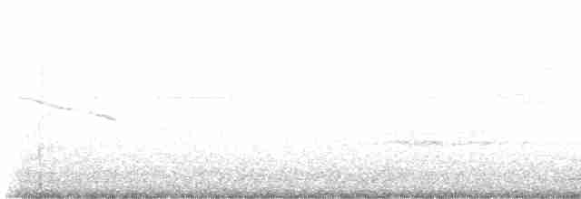 Weißschwanz-Nachtschwalbe - ML615794517