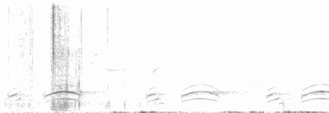 Gray-crowned Babbler - ML615795349