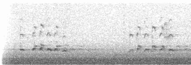 Eurasian Curlew - ML615796721