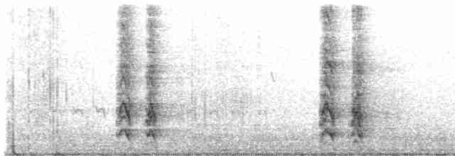 Kara Yanaklı Saksağan Kargası - ML615798009