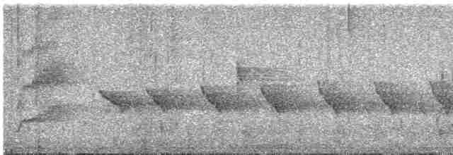 Nacktstirn-Ameisenvogel - ML615800057