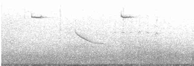 Colibri d'Allen - ML615801427