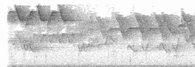 Cerulean Warbler - ML615801853