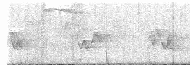 Cerulean Warbler - ML615801854