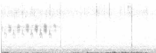 Юнко сірий (підвид caniceps) - ML615806731