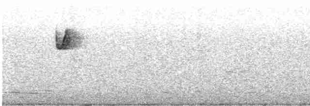 Красноголовая короткохвостка - ML615806992