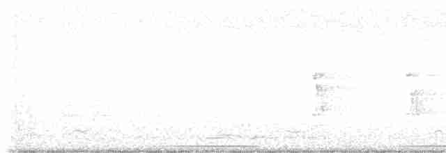 holub hnědohlavý - ML615810636