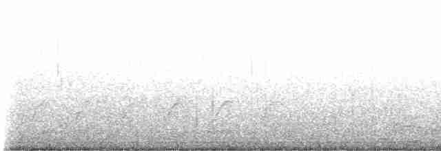 Поплітник каролінський - ML615810796