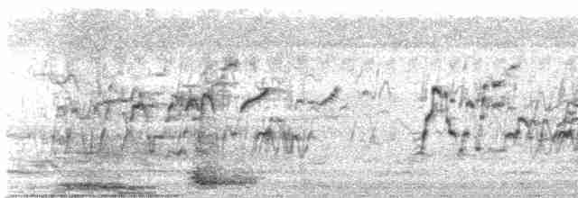 Cava Islıkçı Ördeği - ML615812076