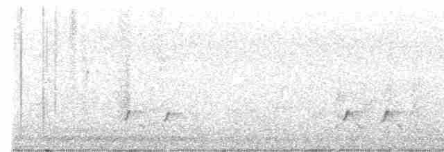 キボシホウセキドリ（ornatus） - ML615812524