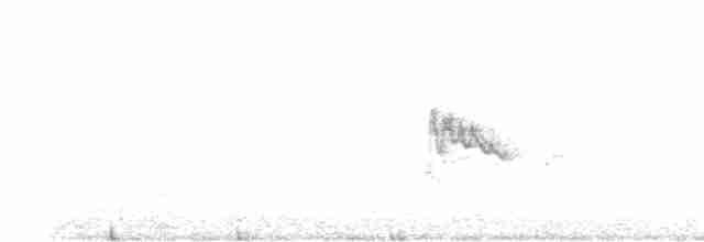 Zostérops à dos gris - ML615812814
