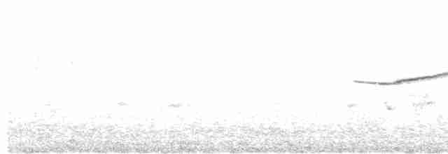 Zeytuni Islıkçı - ML615812900