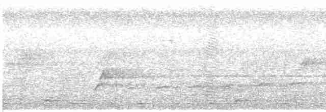 Вилохвостая дронговая кукушка - ML615813461