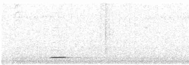 Méliphage carillonneur - ML615814131