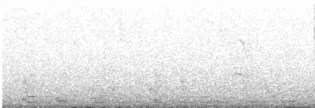 Beltxarga oihularia - ML615815796