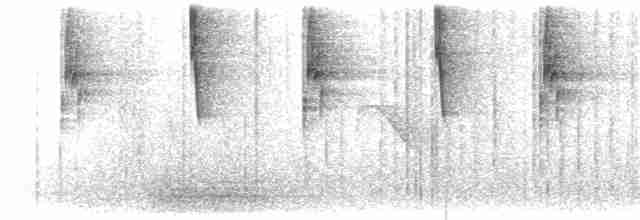 Зелоногрудый фиалкоух - ML615816213