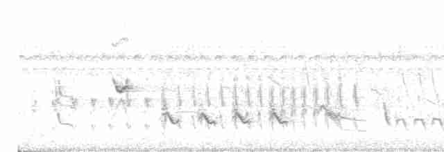 Зернолуск сірий - ML615816795