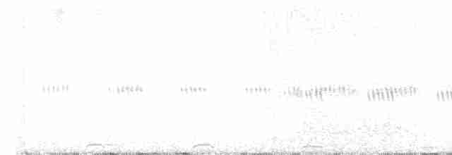 Ошейниковая совка - ML615816983