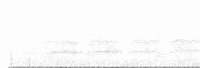 Large Gray Babbler - ML615817400