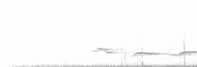 Краснохвостый шелкопёр - ML615817462