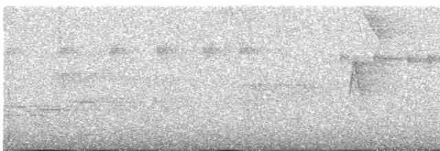 Çizgili Zeytuni Tiranulet - ML615818110