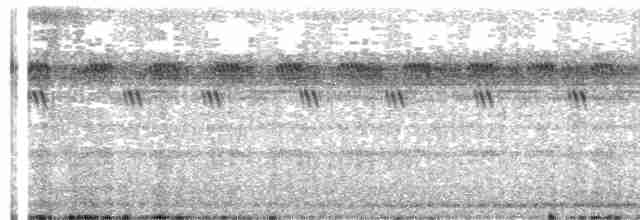Texasnachtschwalbe - ML615818153