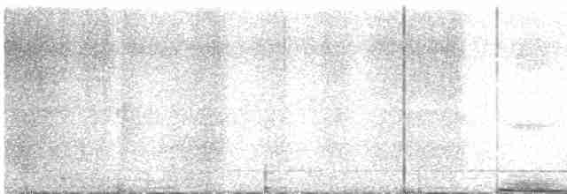 Chevêchette cuculoïde - ML615818414
