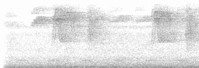 Blue-tailed Trogon - ML615818944