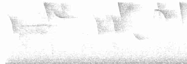 Черношапочная пальмагра - ML615818968