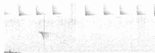 Чорноніжка жовточерева - ML615819187