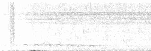 Lattice-tailed Trogon - ML615819836