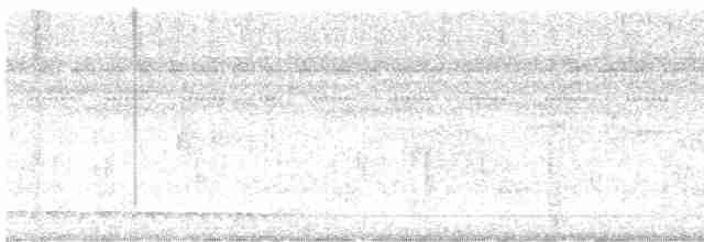 Lattice-tailed Trogon - ML615819840